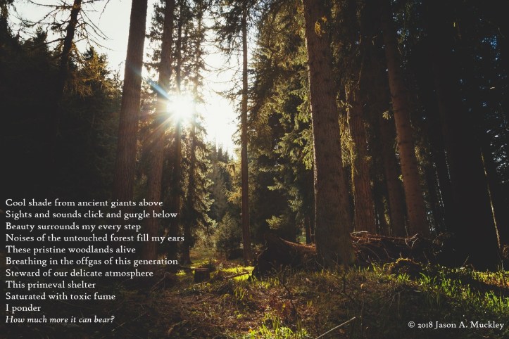 Primeval Shelter (Free Verse)