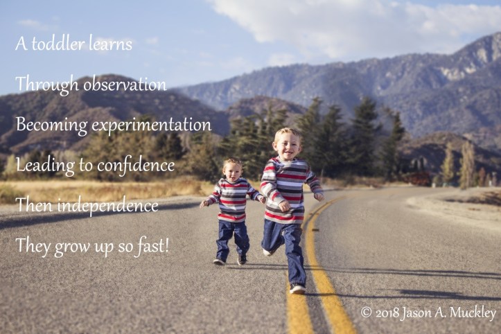 A Toddler Learns #FreeVerse