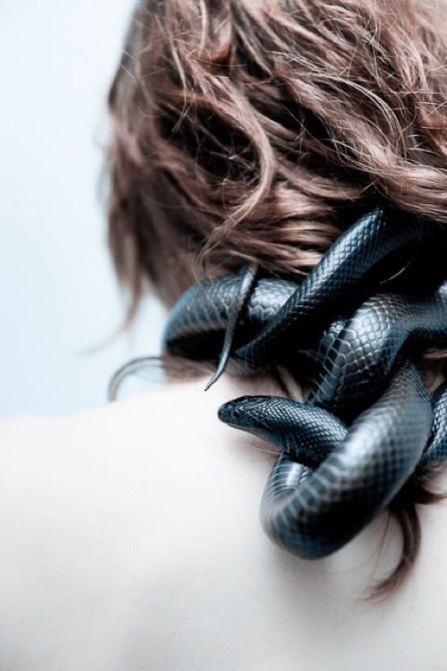 #Intertwined #Slither #290