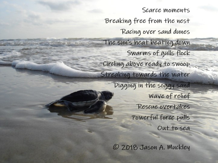 Out to Sea (Free Verse)