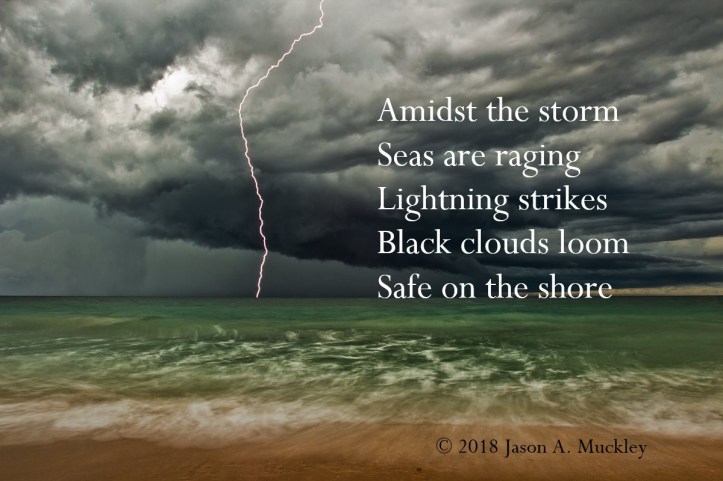 Amidst the Storm (Free Verse)