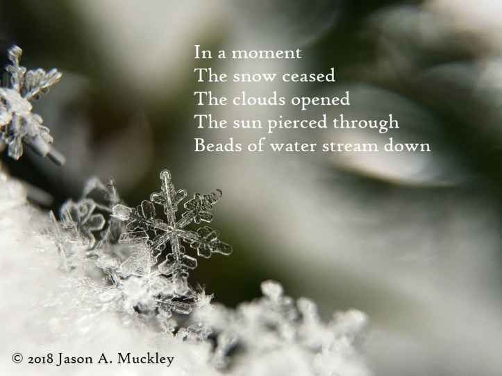 Beads of Water (Gogyohka)