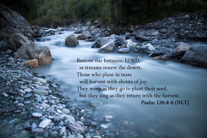 plant in tears-harvest with shouts of joy