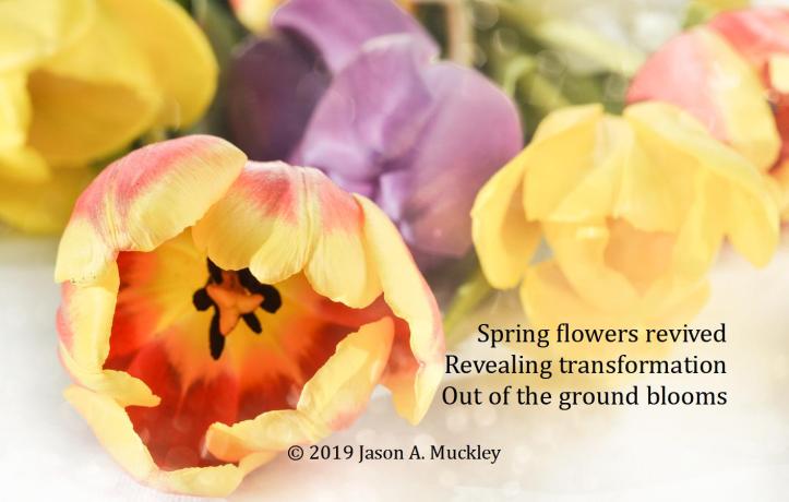 Easter Transformation