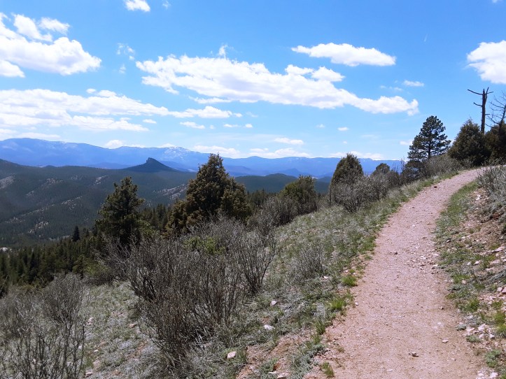 Reynolds Park_Eagles View_19-05-12