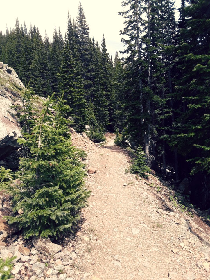 Devils Thumb Bypass Trail_2019-06-29