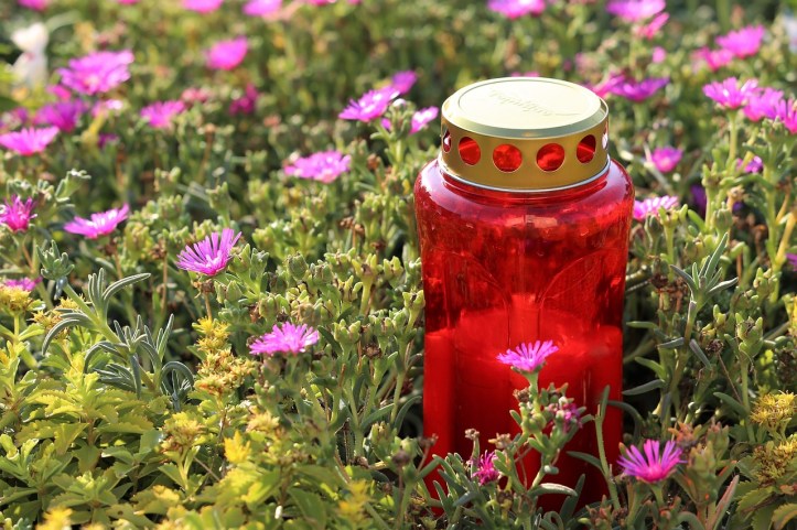 goranh-red-candle-flowers-pixabay