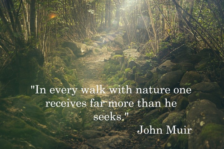 InEveryWalkWithNature_splitshire-forest-pixabay