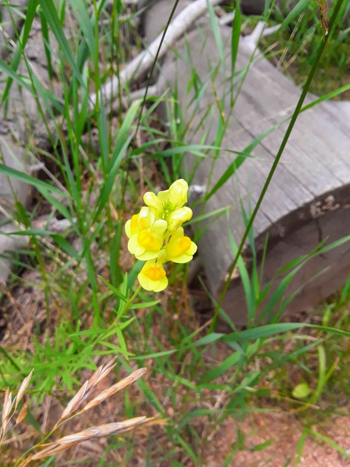 20190824_144221-EFFECTS