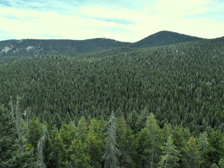 View 2 from Cliff Loop_2019-08-25