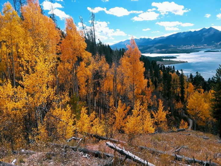 Aspen Leaves_Dillon Reservoir_Tenmile Peak_2019-09-28