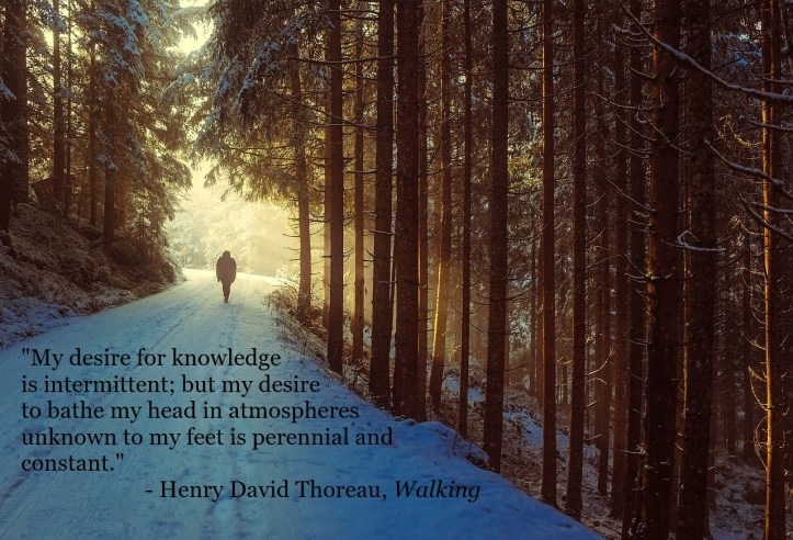 david-mark-quote-henry-david-thoreau-walking-pixabay