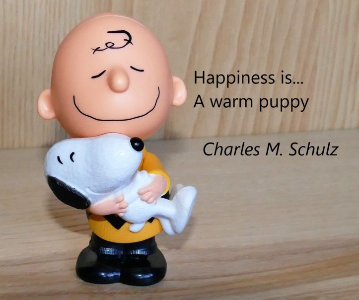 charlie-brown-snoopy-warm-puppy.jpg