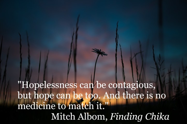 lars-nissen-photoart-sunrise-flower-hope-mitch-albom-pixabay