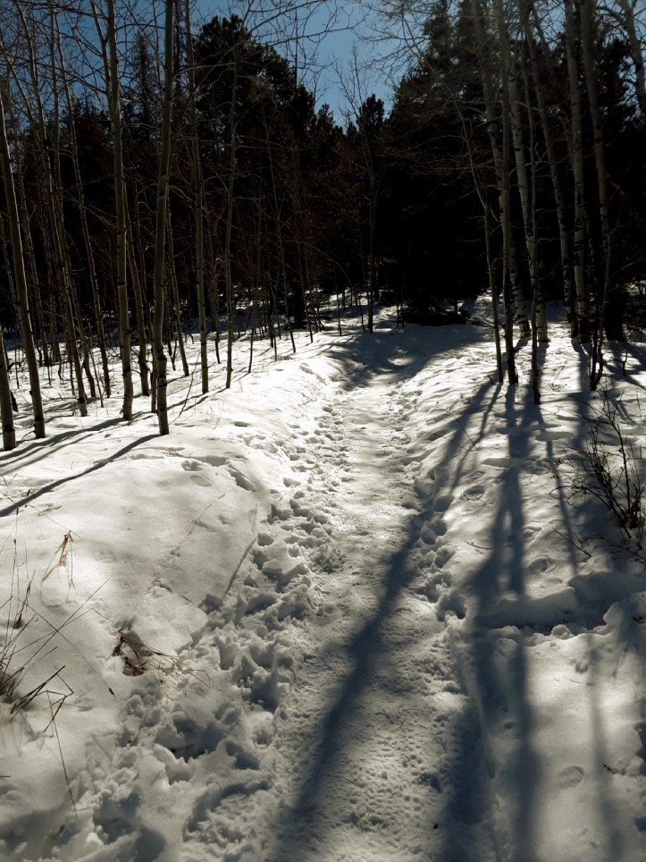 Snowy Trail at Meyer Ranch Park_2019-11-02