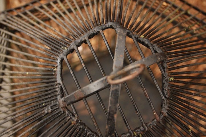 birdcage-2856132_1280