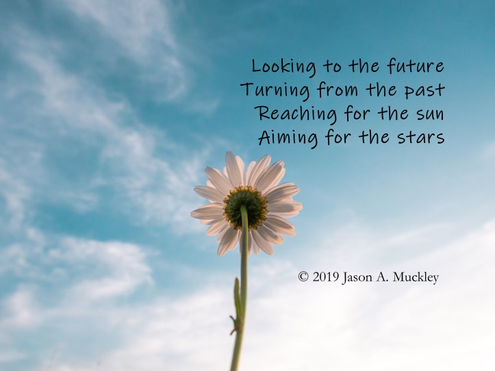 The Next Chapter_Daisy_Aaron Burden_Unsplash