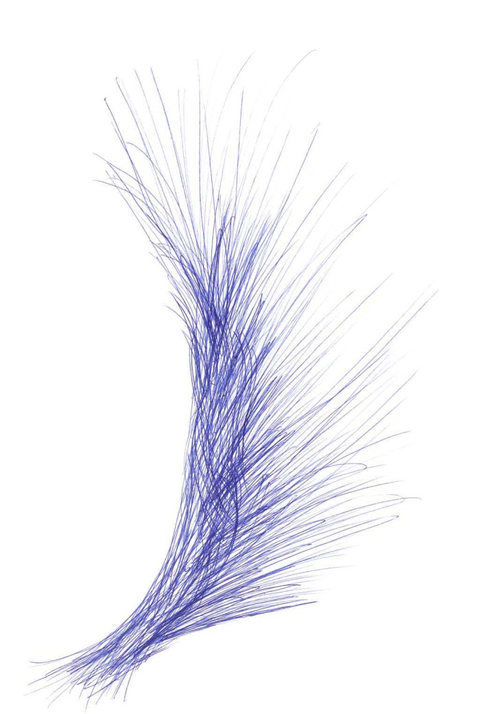 Wisp