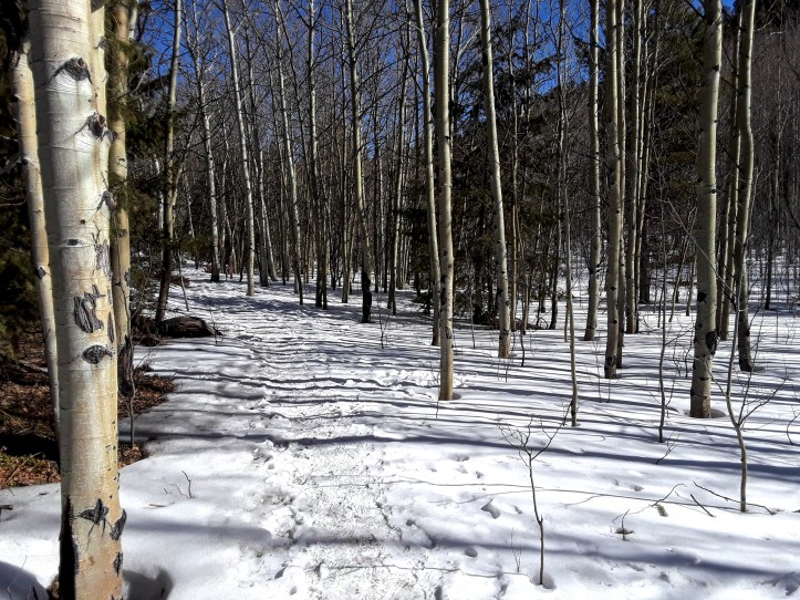 Snowy Trail_01-25-20